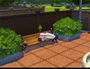 【The Sims4】ベンチで寝る悪人　 [Part2]