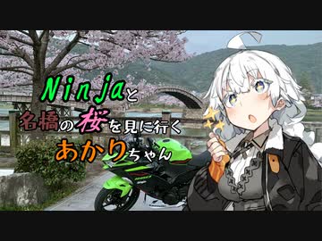 Ninjaと名橋の桜を見に行くあかりちゃん【VOICEROID車載】