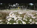 【PENTAGON】  Flower Live     Daisy