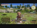 FINAL FANTASY XIV を３日間だけ小説SIF作者ハスキーがプレーしてみた。2日目2