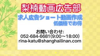 梨楠動画広告部-自社14求人10