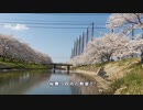 川嶋あい 旅立ちの日に・・・