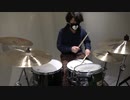【叩いてみた】心做し/蝶々P