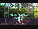 Melon Juice（タイ語） / CGM48 踊ってみた