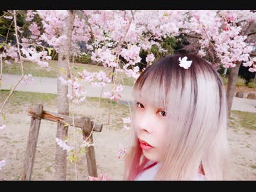 【かれんげ。】ルカルカ★ナイトフィーバー【踊ってみたんげ。】