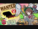 ヤクデ（♀）捜査網【虫ポケ（♀）だけでポケモン剣盾】＃13