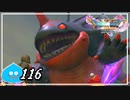 【switch】ドラゴンクエストXI　過ぎ去りし時を求めて S＃116