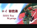 【スマブラSP】ロイ撃墜集