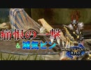 【実況】痛恨の一撃と減気ビン搭載のレックスラッシュllが本当に強い【モンスターハンターライズ】