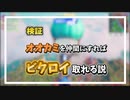 ガフvs狼！手なずけるのが先か？喰われるのが先か？【PS5でフォートナイト】