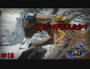 【実況】MHR＃19　呼んでません！