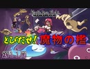 【実況】とりあえず自由が欲しい魔女の最終試験 第11問【Magic Dye Night ー見習い魔女と檻の家ー】