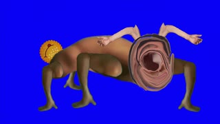 本当のうさぎ先輩の偽物BB＋使用例