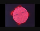 宇宙戦艦ヤマトIII　BGM　SYMPHONY OF THE SUN