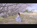 【4周年】ハルイチ。　踊ってみた【花月まろん】