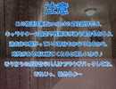 全てを失った付喪神が幻想入り　第二十四張(後編)