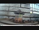 トレイルカメラで雀撮ってみた　20210407　カラスもおるよ　食いしん坊もおる