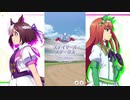ウマ娘BGM GⅡレース (ステイヤーズステークス) [2ループ]