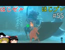 【ゆっくり実況】はじめてのゼルダはじめてのブレワイ part55【ゼルダの伝説ブレスオブザワイルド】