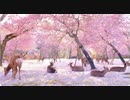 風に聞け　２１０４０６　Know Myself - Patrick Patrikios