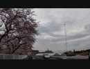 【彩の国探訪録：トコちゃん探訪編】part.16 桜の花の並木道【結月ゆかり車載】