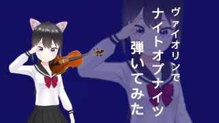 【東方曲】ヴァイオリンで「ナイト・オブ・ナイツ」を弾いてみた【バイオリンアレンジ】