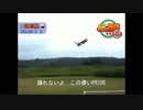 飛翔パワフルシバ野球11