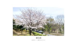 春化粧 / 初音ミク