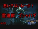 【実況】MHR＃20　里完了！