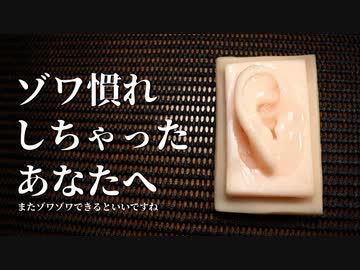 【ASMR】ASMRに慣れて肥えた耳でもゾワゾワする8種類の音【音フェチ】