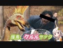 【モンハンライズ】荒地の泥棒、掻鳥クルルヤック 9日目【紲星あかりVOICEROID実況】