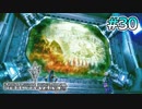 【ライトニングリターンズFF13】全ては神様の手のひらの上｜#30【実況】