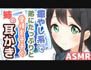【耳かきボイス】癒やし系で弟にたっぷり愛情を注ぐ姉の耳かきコレクションvol.138【ASMR/音フェチ】