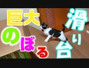 【子猫】滑り台を作ってあげたら大興奮で登って遊び出したwww   I tried playing a kitten on a slide