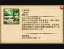 大航海時代V　航海士の追憶　その13