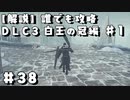 【解説実況】誰でも攻略出来るだけ解説する#38　白王の冠編1【Darksouls 2】