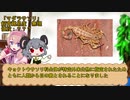 ムシカス★★