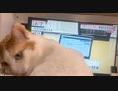 風に聞け　２１０４０７　Make You Move - Ofshane