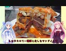 うちの琴葉姉妹は食べ盛り＃39「フランセジーニャ風サンドイッチ」
