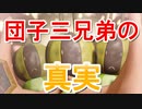 【悲鳴が】モンハンライズ実況Part3【ミ〇キー】