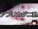 【ゆっくり朗読】ゆっくりさんと不思議な病気 その334