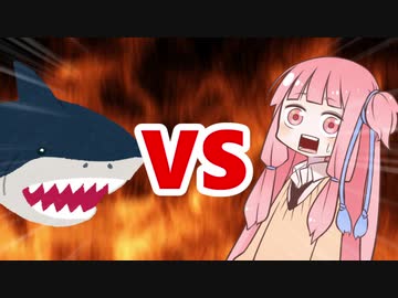 茜ちゃんVSサメ