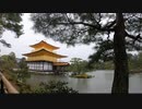 桜と金閣寺:雨の京都 Киото: Красота сакуры и Золотого храма