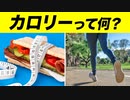 【カロリーとは】カロリーと体脂肪の関係について【ビーレジェンド プロテイン】