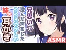 【耳かきボイス】兄思いで澄んだ声をしたこころやさしい妹の耳かきコレクションvol.139【ASMR/音フェチ】