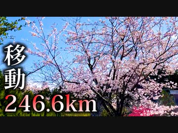 【実況】捕まえたポケモンの重さ分「1㎏＝1㎞」で移動しないといけない縛り part23(移動のみ)