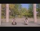 【桐。とぴよちゃ】嘘とぬいぐるみ 踊ってみた 【コラボ】