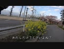 【バイク動画】栃木県太平山、葉桜菜の花ツーリング【CBR400RR】