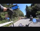 Yaeh!! in 伊豆スカイライン