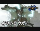 【モンハンライズ】モンハン狩猟記 #20トビカガチ【MHRise】